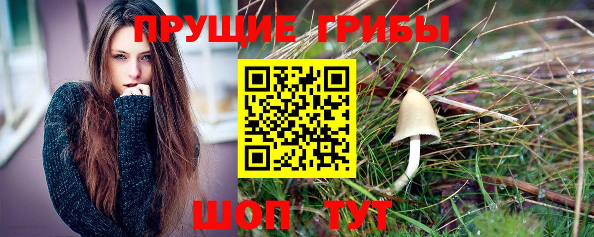 Зеленодольск  Галлюциногенные грибы Magic Shrooms  Вход с VPN 