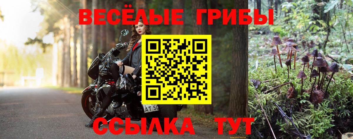 Галлюциногенные грибы Magic Shrooms Зеленодольск